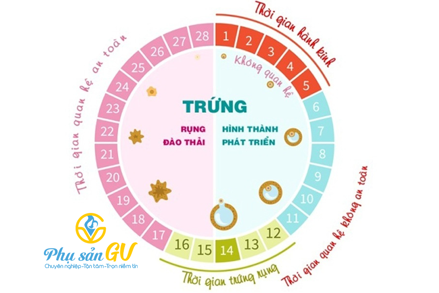 Kiến thức tránh thai cơ bản theo chu kỳ kinh nguyệt, chị em phụ nữ ai cũng nên nắm vững