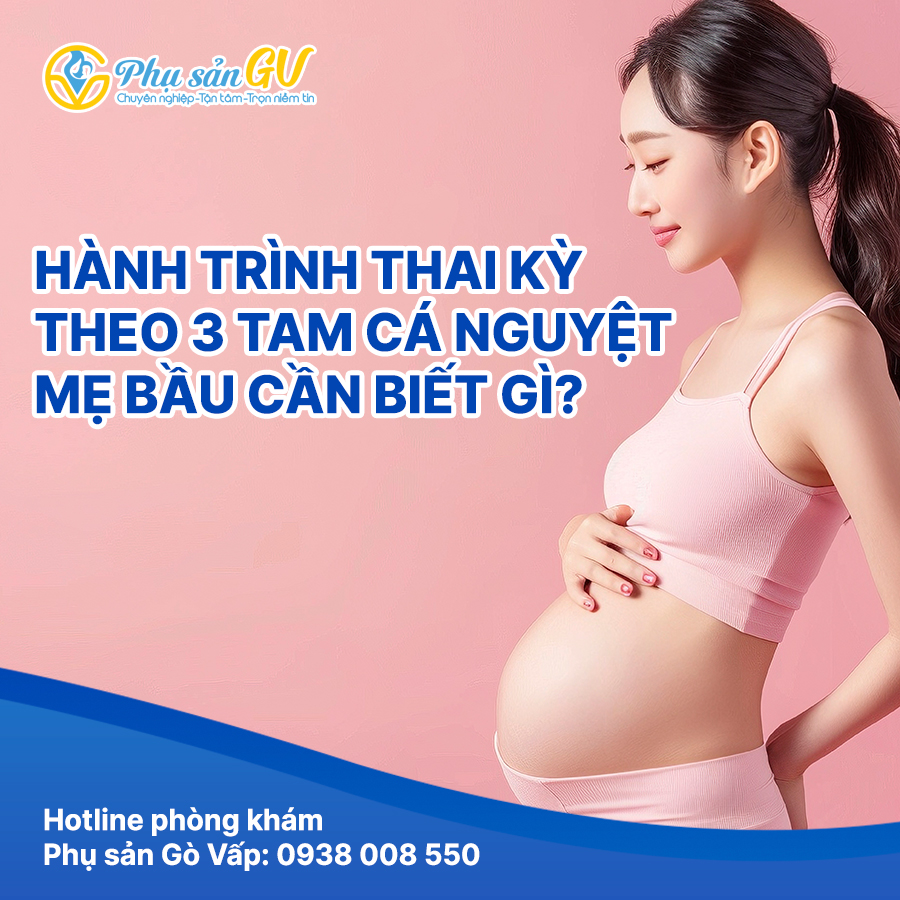 >Hành Trình Thai Kỳ Theo 3 Tam Cá Nguyệt – Mẹ Bầu Cần Biết Gì?